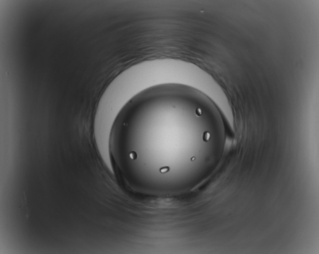 X0000089460428200706291504