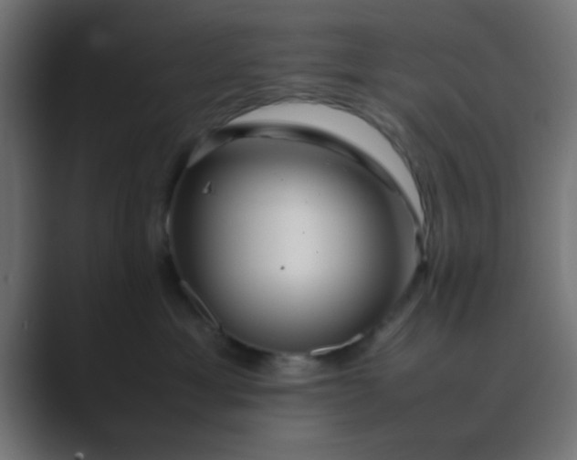 X0000089460429200706291504