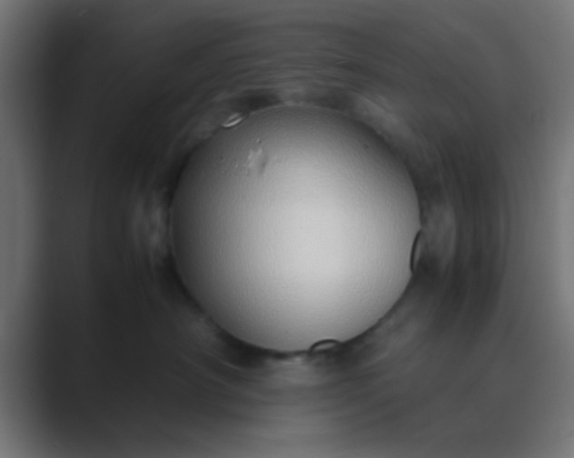 X0000089460430200706291504