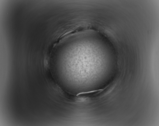 X0000089460432200706291504