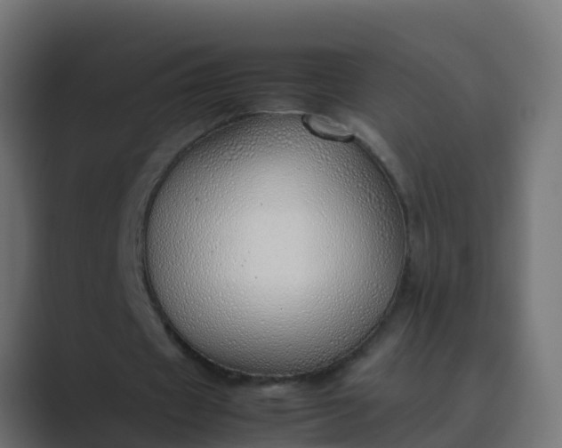 X0000089460433200706291504
