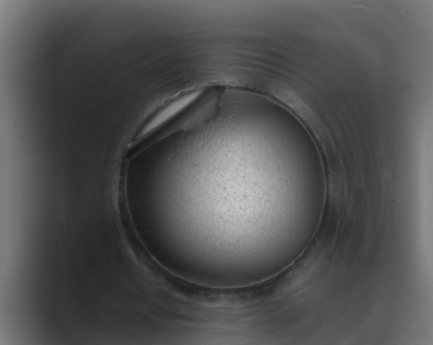 X0000089460434200706291504