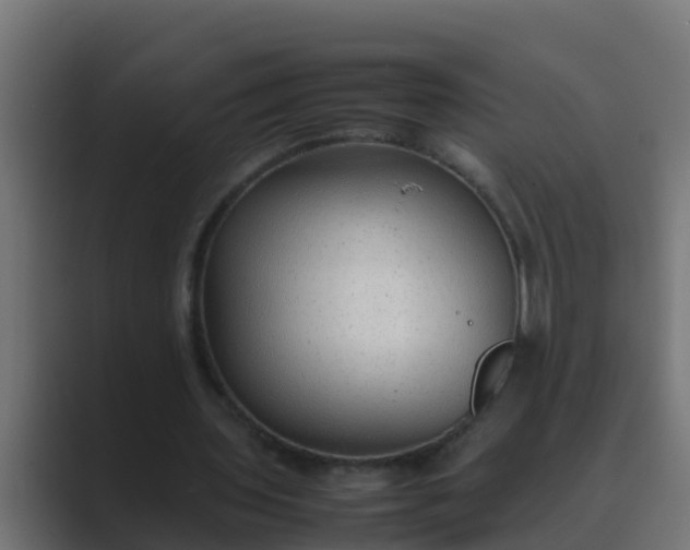 X0000089460435200706291504