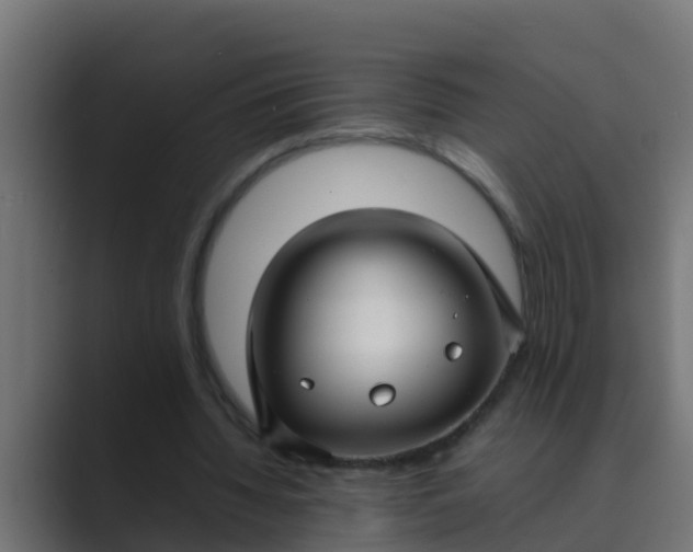 X0000089460436200706291504