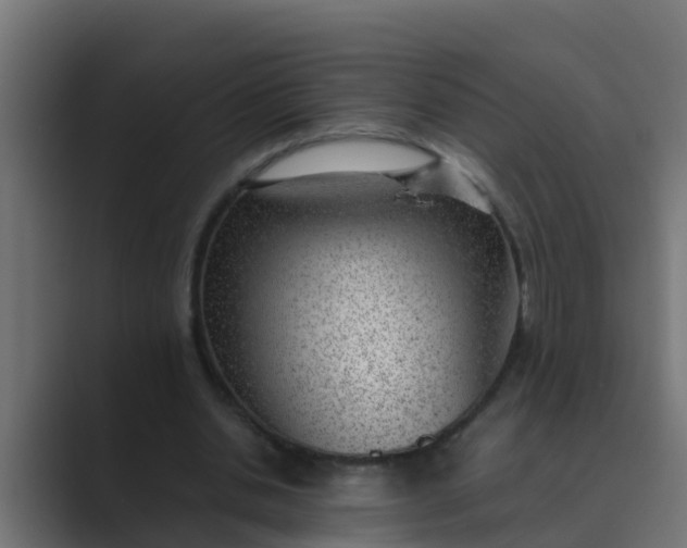 X0000089460438200706291504