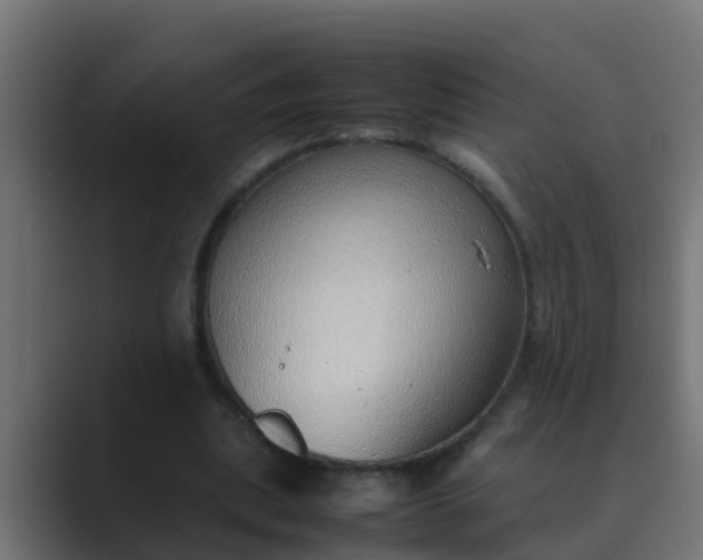 X0000089460439200706291504