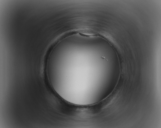 X0000089460440200706291504