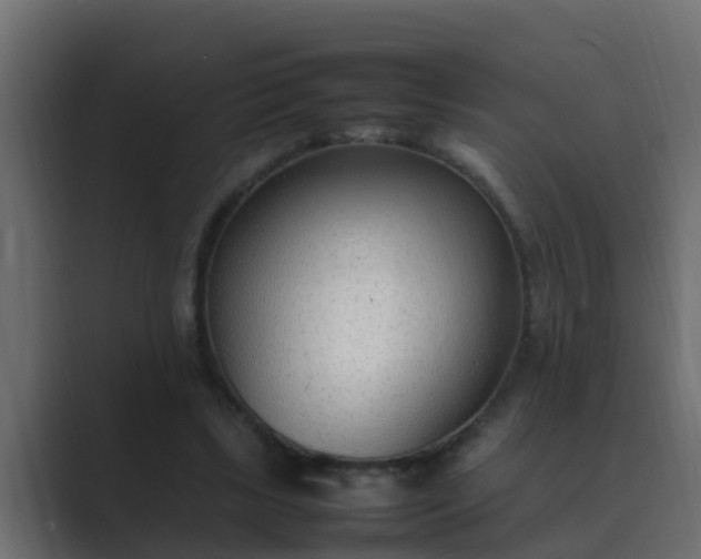 X0000089460443200706291504
