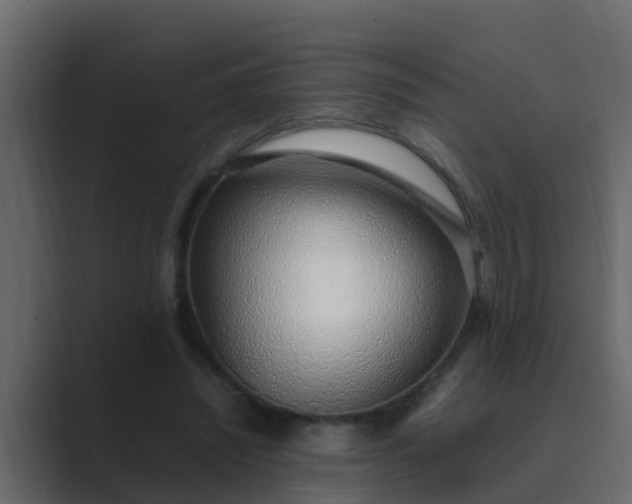 X0000089460444200706291504