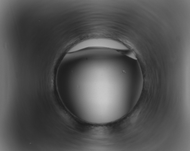 X0000089460446200706291504