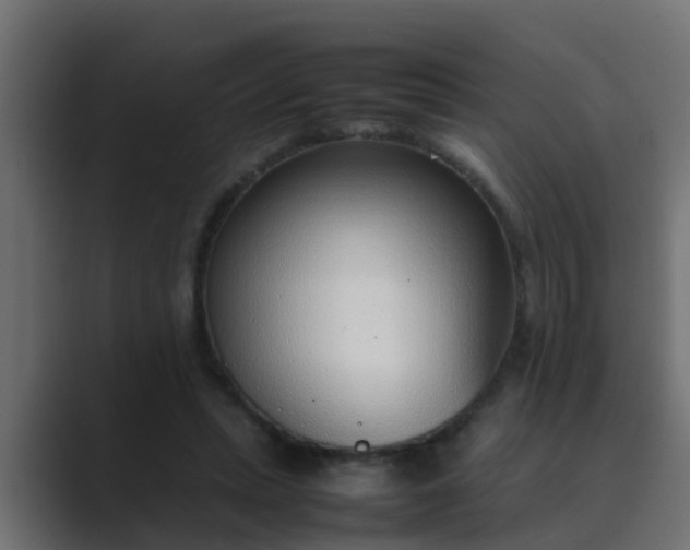 X0000089460447200706291504