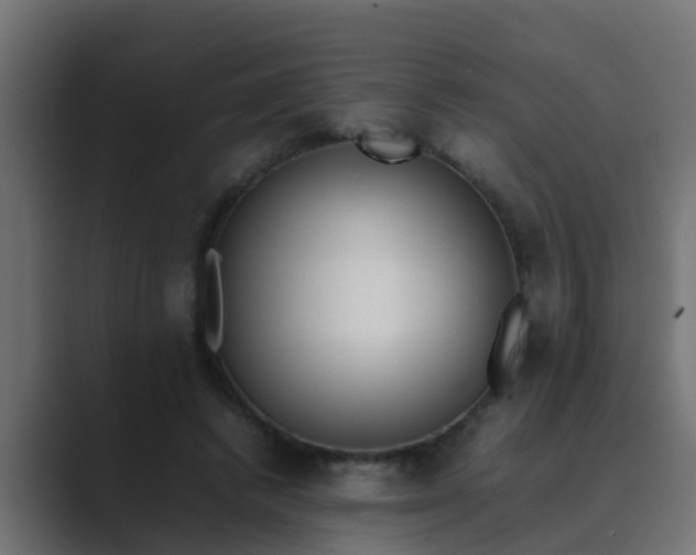 X0000089460448200706291504