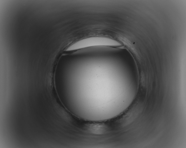 X0000089460449200706291504