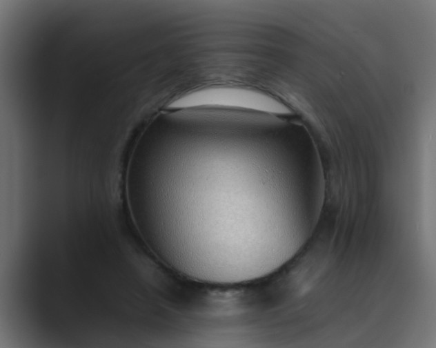 X0000089460450200706291504