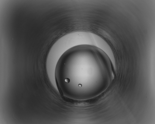 X0000089460452200706291504