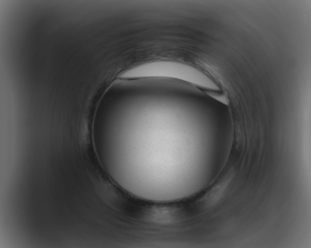 X0000089460453200706291504