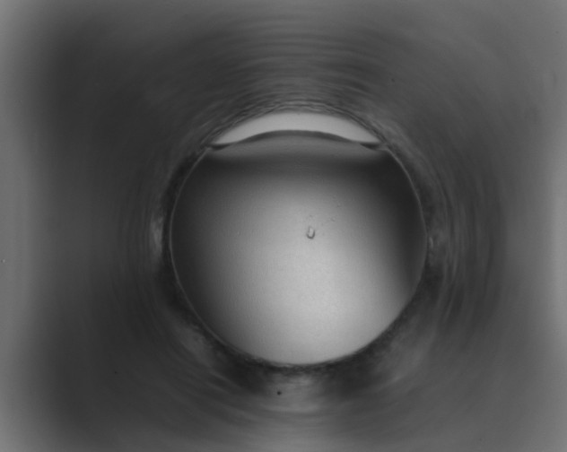 X0000089460454200706291504