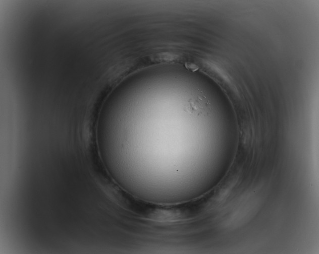 X0000089460455200706291504
