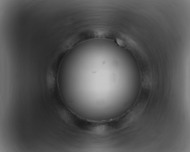 X0000089460456200706291504