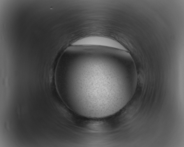 X0000089460458200706291504