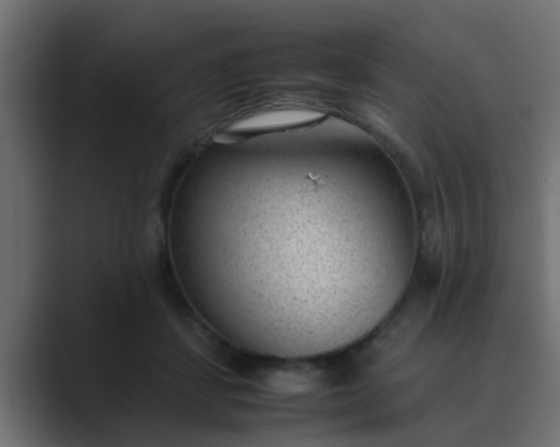 X0000089460459200706291504