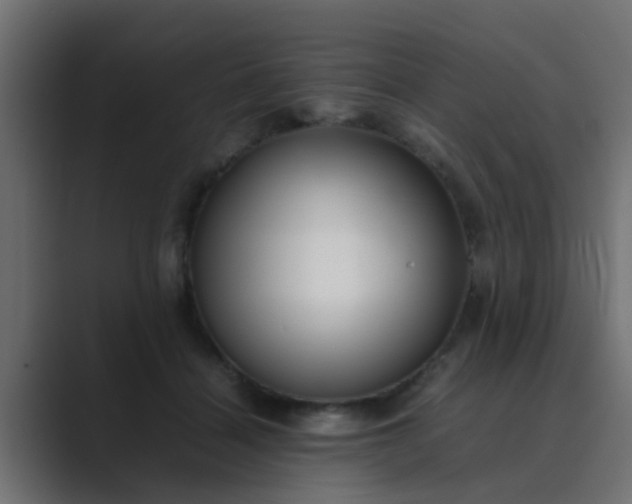 X0000089460460200706291504