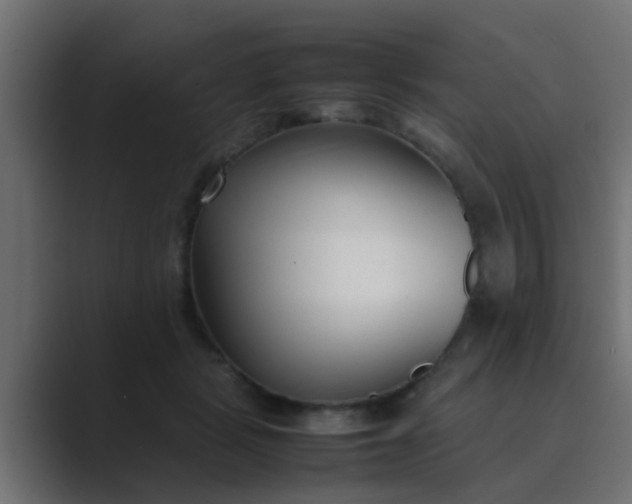 X0000089460461200706291504