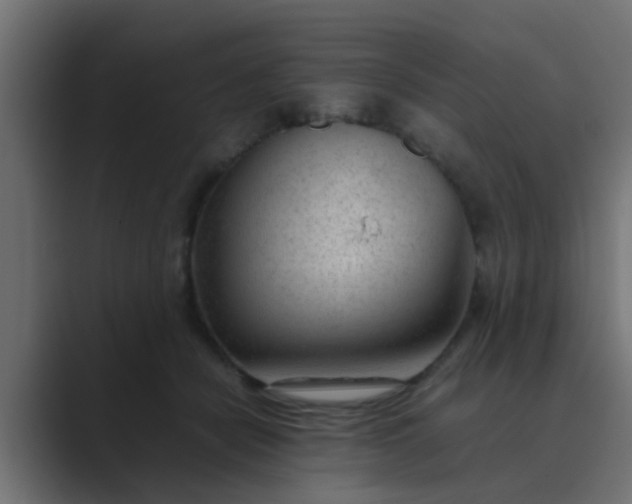 X0000089460462200706291504