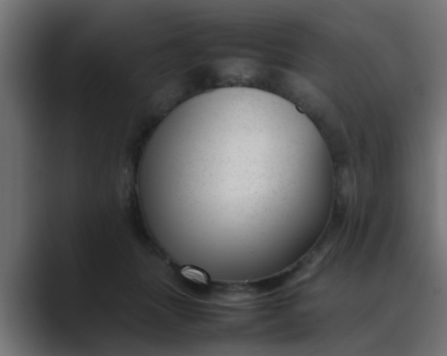 X0000089460463200706291504