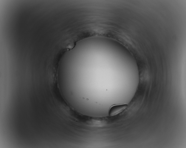 X0000089460464200706291504