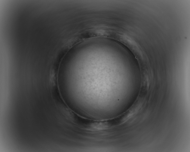 X0000089460465200706291504