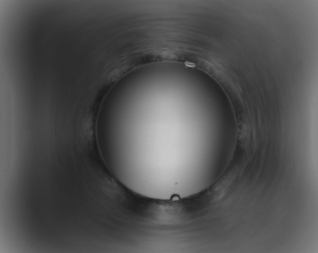 X0000089460466200706291504