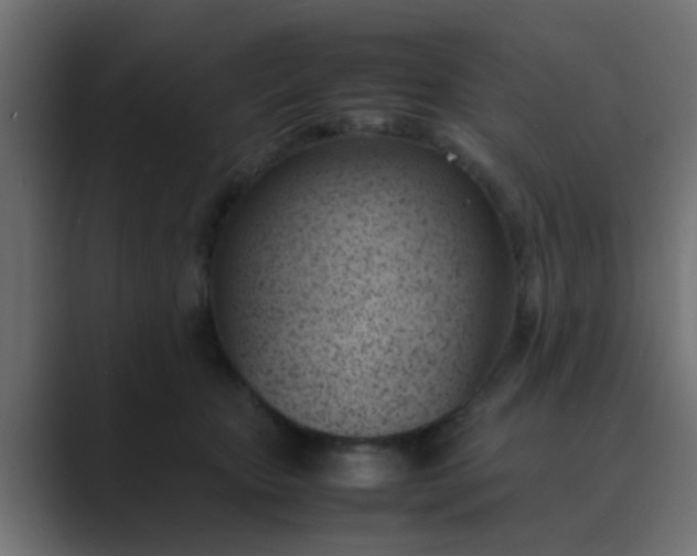 X0000089460467200706291504