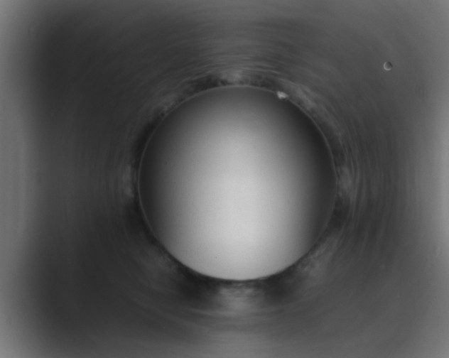 X0000089460470200706291504