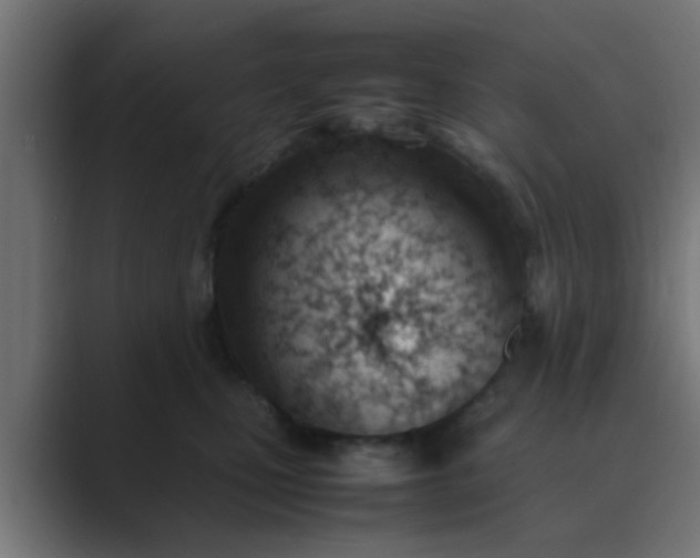 X0000089460471200706291504