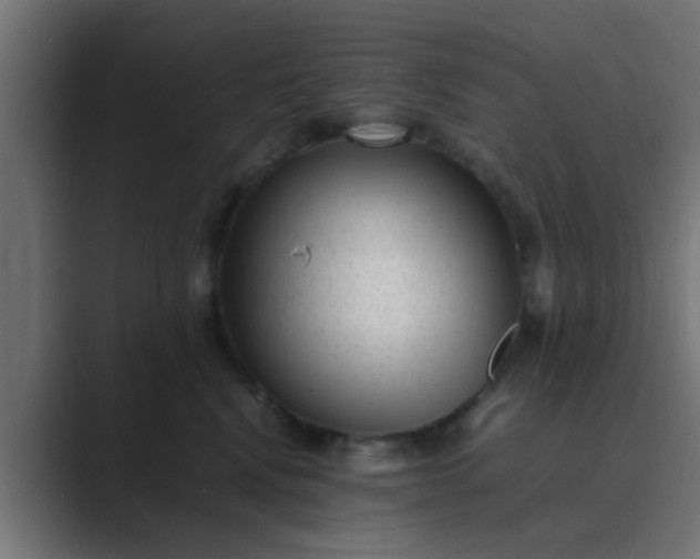 X0000089460472200706291504