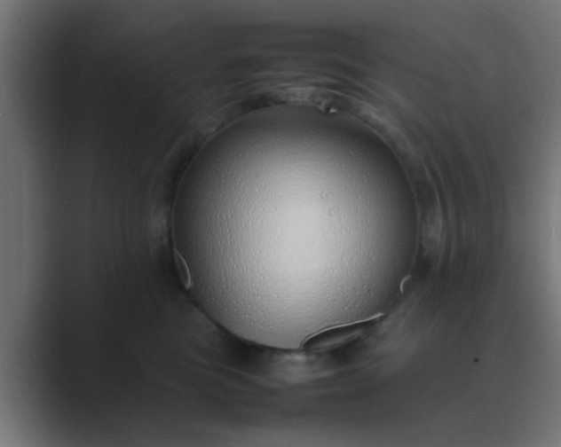 X0000089460473200706291504