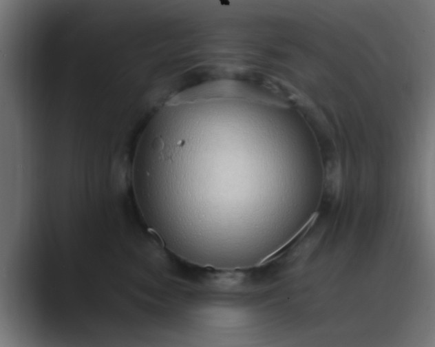 X0000089460474200706291504