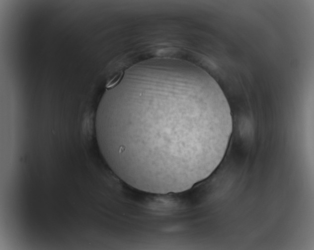 X0000089460475200706291504