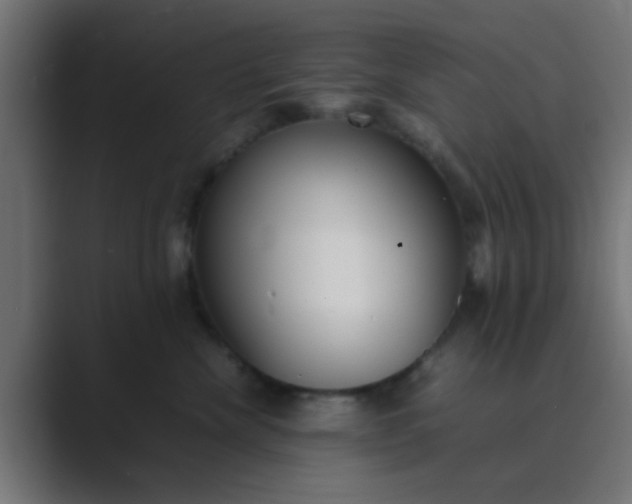X0000089460476200706291504