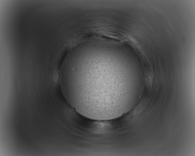 X0000089460477200706291504