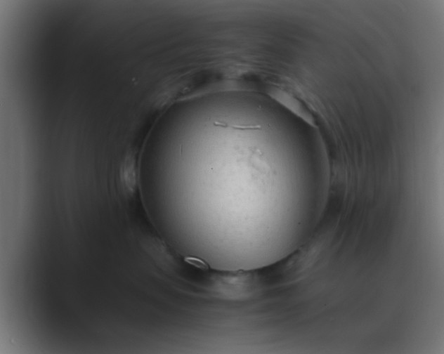 X0000089460479200706291504