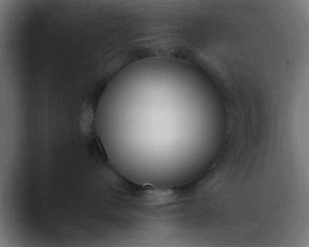 X0000089460480200706291504