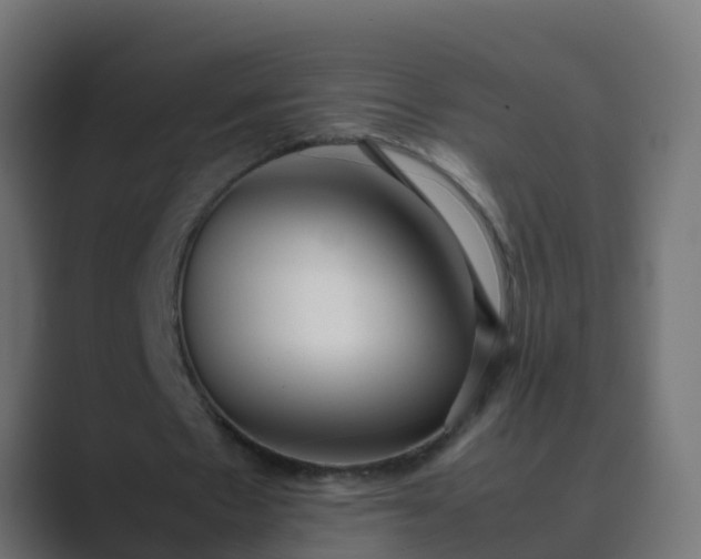 X0000089460481200706291504