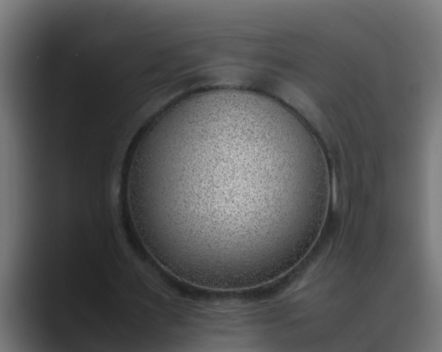 X0000089460483200706291504
