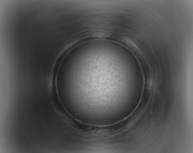 X0000089460484200706291504