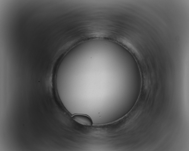 X0000089460486200706291504