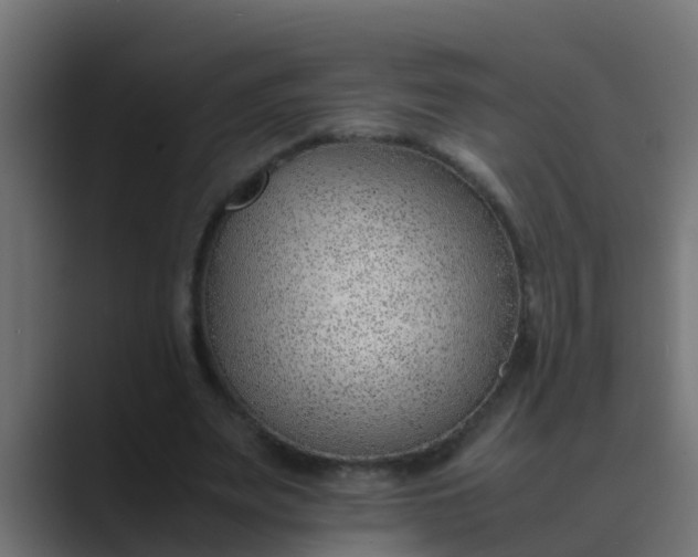 X0000089460487200706291504