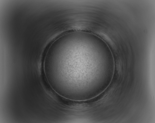 X0000089460488200706291504