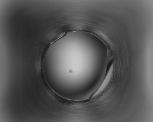 X0000089460489200706291504
